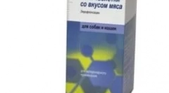 Encoxyl a macskákhoz - a baktériumok elleni küzdelemben